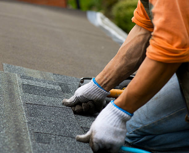 Best Shingle Roofing Installation  in Kahuku, HI