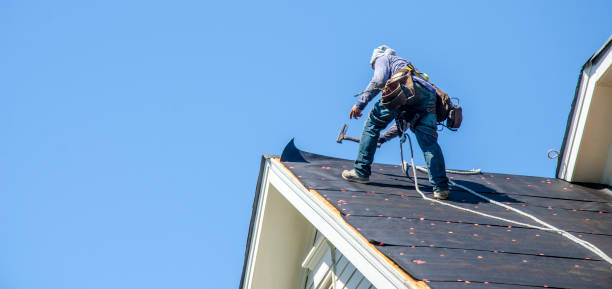 Best Roof Waterproofing Services  in Kahuku, HI